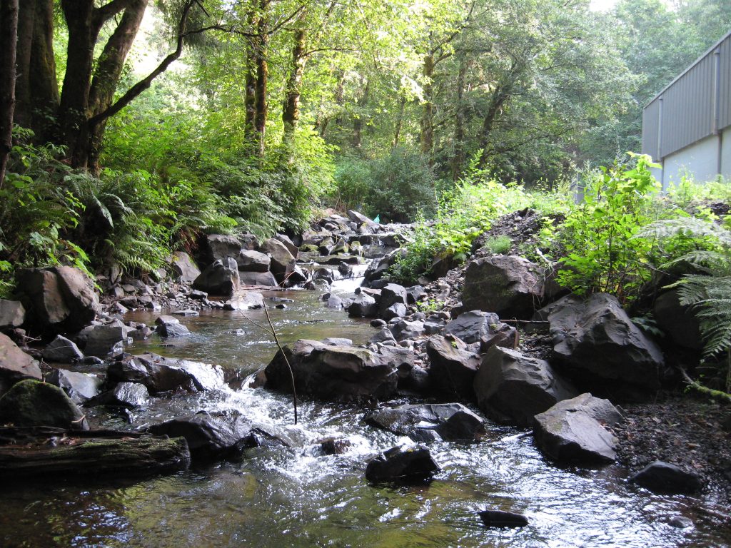 A view of Hawk Creek running by the NRWD water plant.